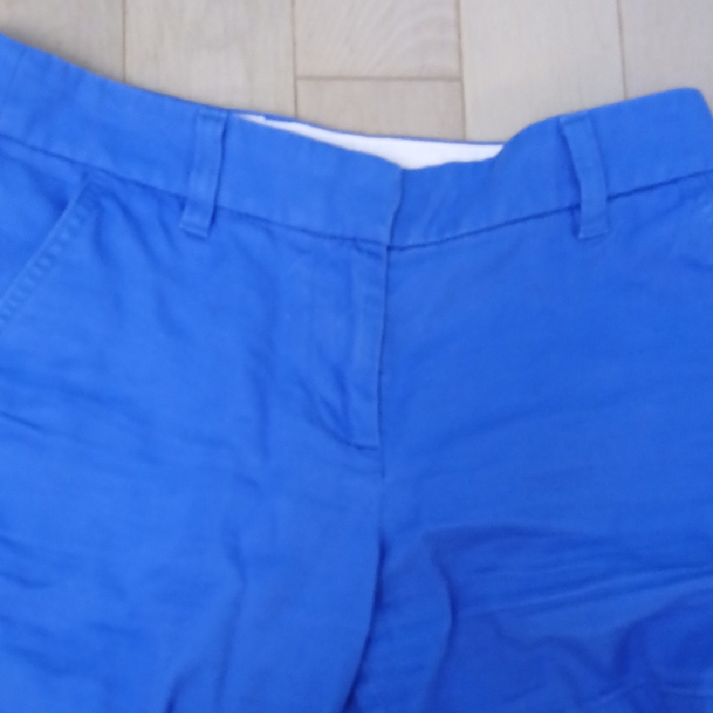 Blue J crew Casual Shorts